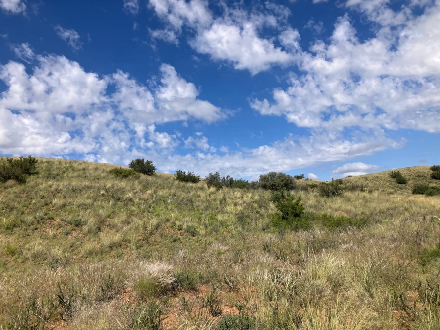 0 Bedroom Property for Sale in Luckhoff Free State